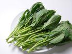 sayur-kailan.jpg