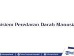 sistem-peredarah-darah-manusia-buku-ipa.jpg