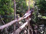 siswa-sdn-9-kederas_20170410_200650.jpg