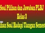 soal-plbj-kelas-3-mkljo.jpg