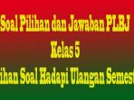 soal-plbj-kelas-5-dcfvgb.jpg
