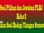soal-pljb-kelas-2-mkljo8.jpg