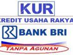 syarat-kur-bri-online-2021-login-httpskurbricoid-dapat-pinjaman-tanpa-jaminan-rp-100-juta.jpg