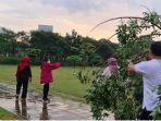 tanam-pohon-pdi-perjuangan-risma.jpg