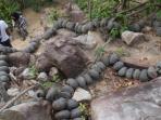 tasbih-batu-raksasa-di-karimunjawa_20151219_092109.jpg