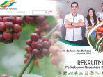 terakhir-minggu-19-juli-2020-ayo-daftar-loker-ptpn-2020-lowongan-kerja-bumn-perkebunan-nusantara.jpg