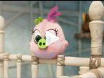 the-angry-bird-2.jpg