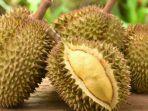 tips-hilangkan-mabuk-makan-durian-jika-tak-mempan-dengan-air-putih-coba-2-cara-jitu-ini.jpg