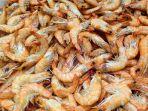 udang-kolesterol-udang.jpg