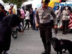 unit-k9-kenalkan-anjing-pelacak-kepada-masyarakat.jpg