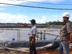 usaha-tambak-udang-di-singkawang.jpg