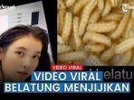 video-belatung-viral-di-tiktok-dan-trending-di-twitter.jpg