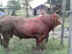 wacito_20170828_143423.jpg