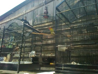 Diminati Semua Kalangan