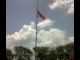 IMG-20120329-00352.jpg