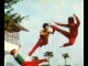 Wushu.jpg