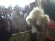 IMG-20130114-00699.jpg