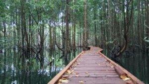 Pariwisata-di-Kabupaten-Kutai-Timur-12.jpg