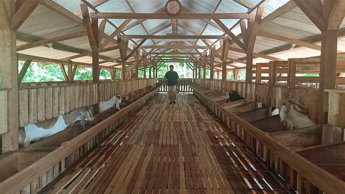 Kisah Kades Inovatif yang Pernah Putus Sekolah, Bangun Desa Beber Ciamis Lewat Program Unggulan