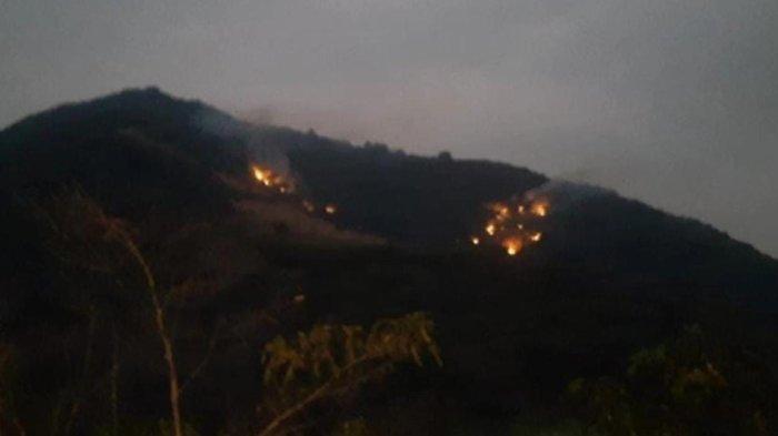 Gunung Geulis Sumedang Kembali Terbakar, Medan Terjal & Angin Kencang Sulitkan Petugas Padamkan Api
