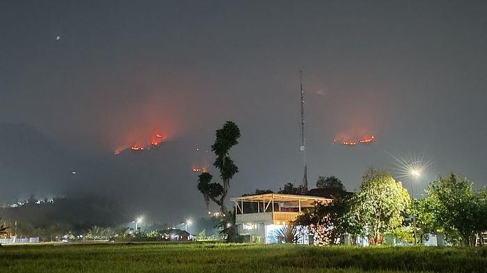 Gunung Guntur di Garut Terbakar, Dilaporkan Petugas Sulit Menjangkau Titik Api