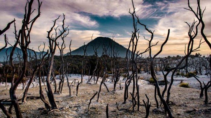 DESTINASI GUNUNG PAPANDAYAN - Ilustrasi Gunung Papandayan. (Foto: Hutan Mati kawasan Gunung Papandayan, Garut, Jawa Barat. Salah satu tempat wisata di Garut yang dapat dikunjungi.( agunpriyatna/Shutterstock/ Kompas.com)
