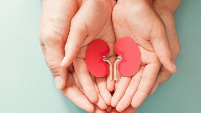 Tingkat Cuci Darah Anak Indonesia Tercatat Setiap Harinya, Ternyata Ini Penyebab dan Pencegahannya