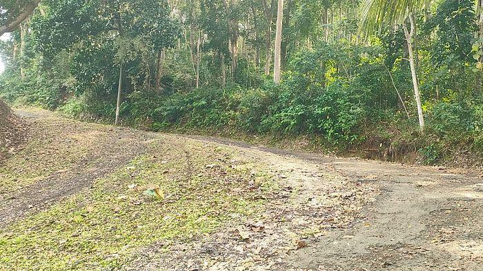 AKSES JALAN RUSAK - Kondisi rusaknya akses jalan menuju Pantai Karang Nini sekitar satu kilometer, Sabtu 9 Agustus 2025 pagi.