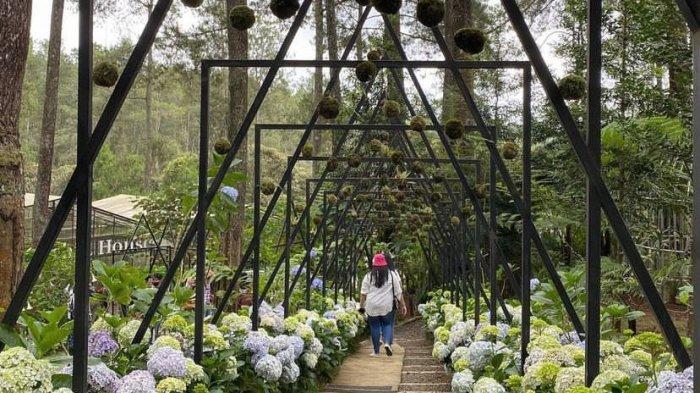 Orchid Forest Cikole