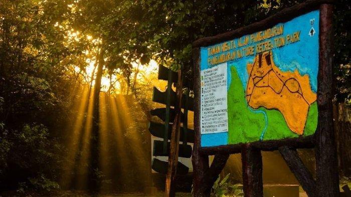 Papan petunjuk di Cagar Alam Pangandaran (Instagram/cagaralampangandaran)