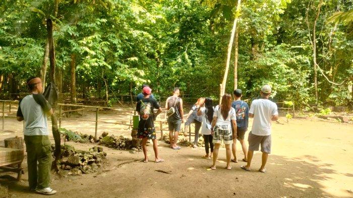 Taman Wisata Alam Pangandaran Jadi Alternatif Lokasi Liburan Pengunjung Pantai