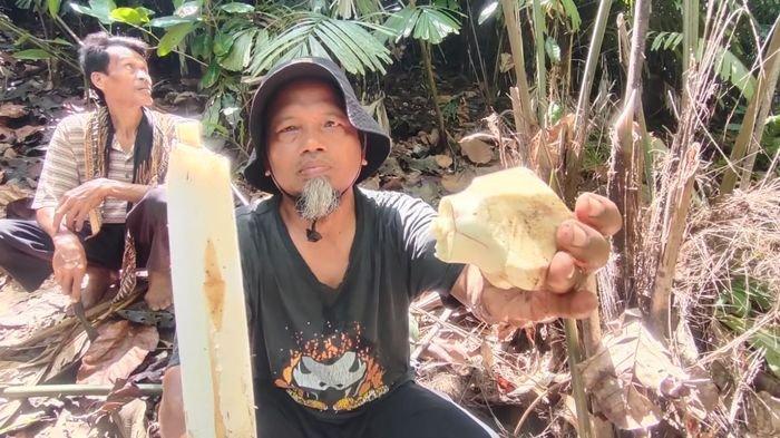 Humbut Langkap di Pulo Majeti Kota Banjar Jawa Barat, Menjadi Makanan Tradisional