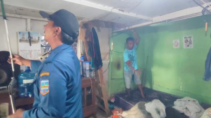 Elin Histeris Lihat Ular Kobra Hitam Muncul di Depan Rumahnya di Pangandaran