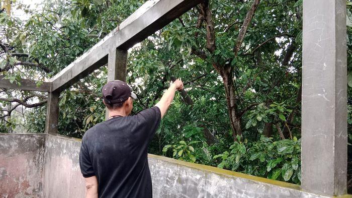 3 Terduga Pengedar Sabu di Jatinangor Kabur Lewat Roof Top Kosan Lalu Turun Lewat Pohon