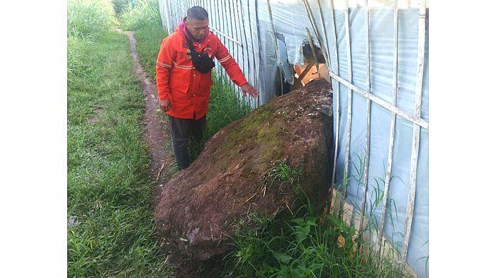 BATU JATUH - Petugas Lapangan BPBD Bandung Barat, Suheri saat melakukan asesmen di Gunung Batu, Lembang, Bandung Barat, Minggu (9/11/2025).