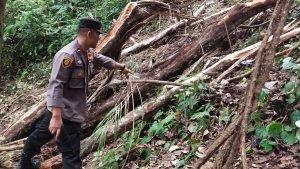 4-Pemburu-Garut-Tewas.jpg