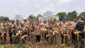 PANEN-RAYA-JAGUNG-Polres-Ciamis-2792025-1.jpg