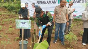 Penanaman-Bambu-di-Eks-TPA.jpg