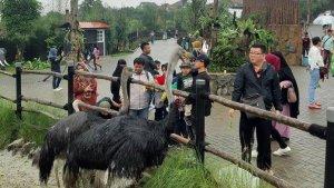 Suasana-wisata-di-Lembang-Park-Zoo.jpg