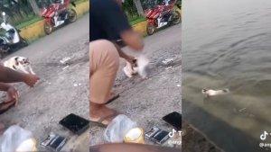 Viral-Video-Pria-Bertato-Membanting-Kucing-ke-Air-Danau-Bikin-Geram-Warganet.jpg