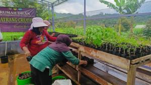 anggota-Kelompok-Wanita-Tani-KWT-Berlian-Ciamis-1.jpg