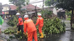 anginkencangdongah.jpg