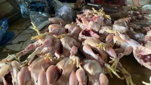 daftarhargaharga.jpg