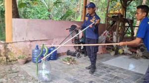 evakuasi-ular-hijau-di-pangandaran-1.jpg