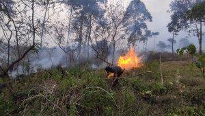 gununggunturalammikebakarandongah.jpg