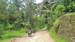 jalanrusakparungpontengtengteng.jpg