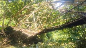 jembatan-bambu-rusak-di-pangandaran-1.jpg