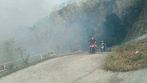 lahan-perkebunan-di-Pangandaran.jpg