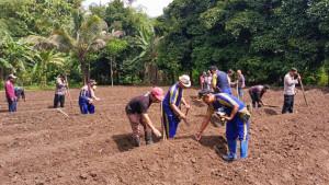 pemdes-polisi-dan-petani-muda-pangandaran-tanam-jagung-1.jpg