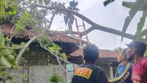 pohon-tumbang-ciamis-02102025-1.jpg